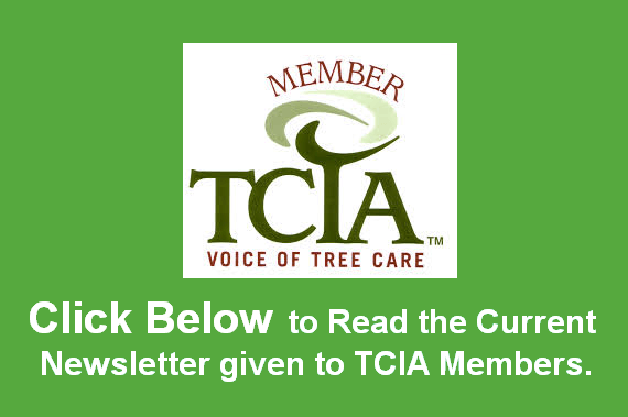 Member TCIA Voice of the Tree Care logo