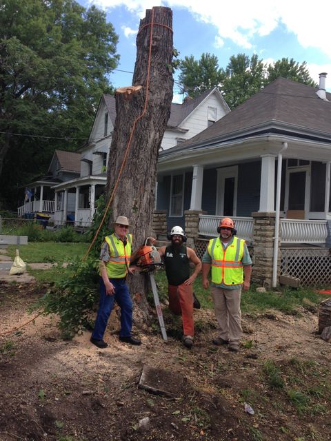 Tree Removal — John Walker in Lathrop, MO