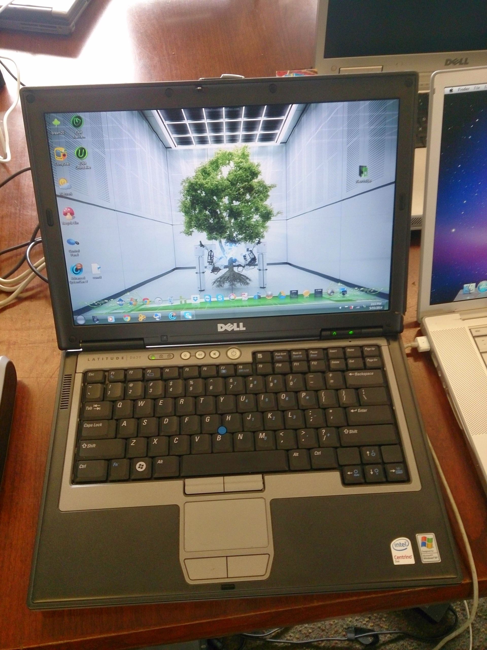 Dell laptop displaying a wallpaper with a tree inside a glass structure.