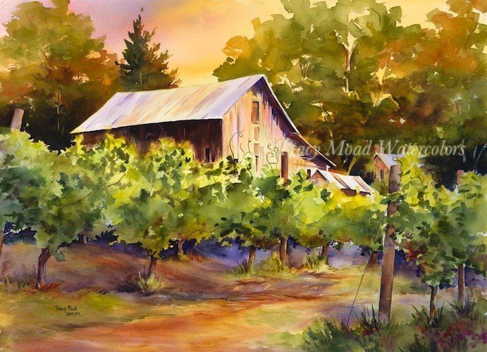 Vineyard Barn Sunset