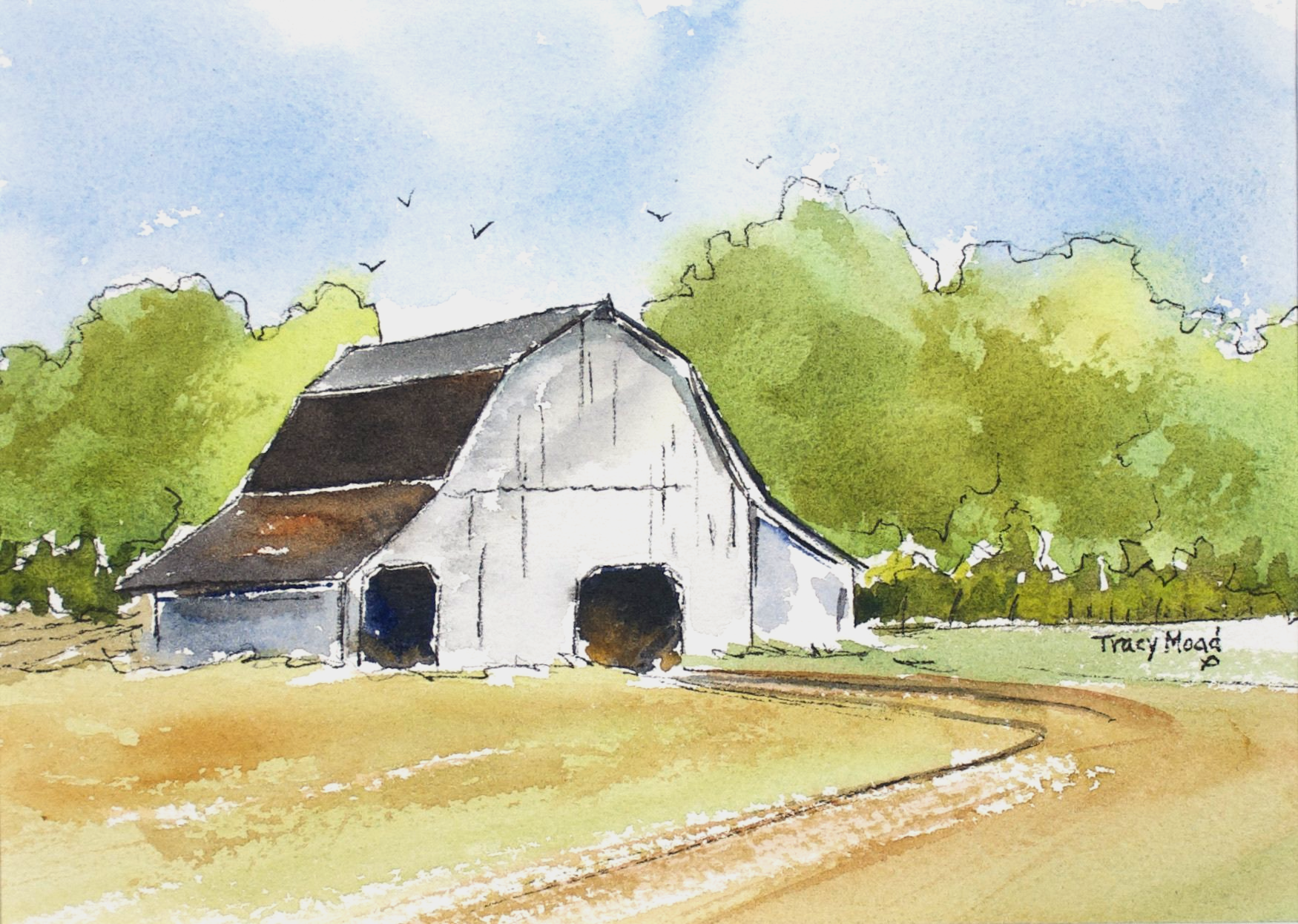 Rural White Barn