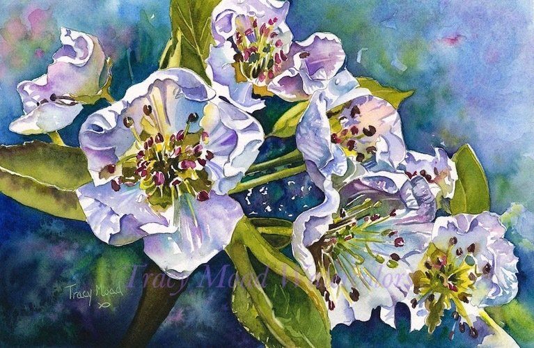 Close-up of watercolor blossoms with white and lavender petals, yellow centers, and green stems against a blue background.