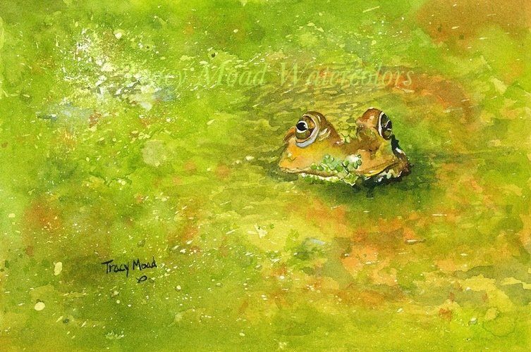 Watercolor painting of a frog's head emerging from green water. The frog has brown and yellow eyes.