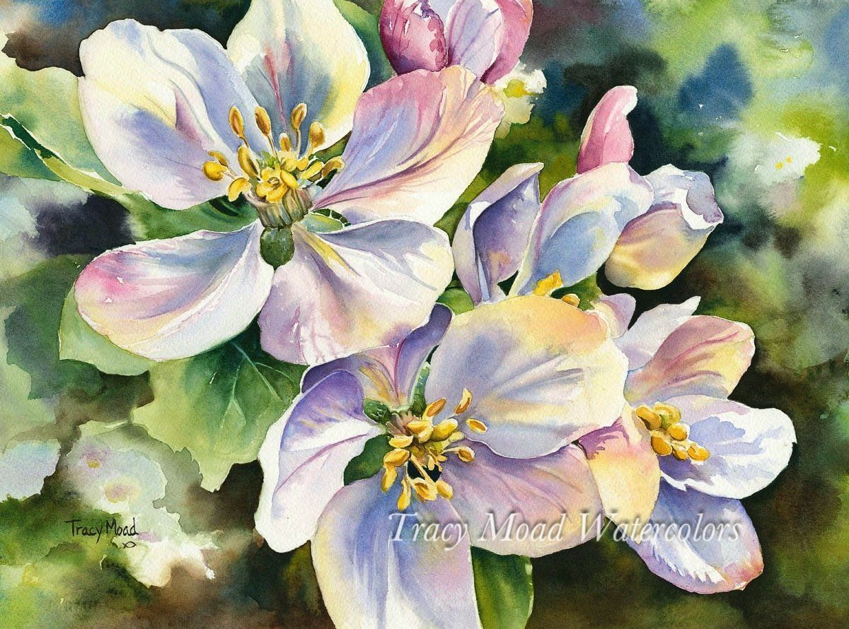 Close-up watercolor painting of delicate white and pink cherry blossoms with yellow stamens, set against a green and blue blurred background.