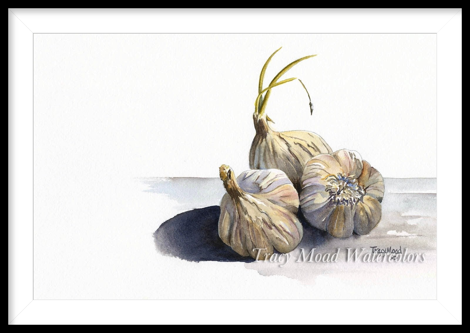 Garlic cloves botanical