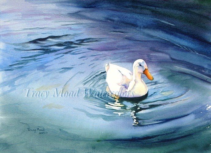 White Duck watercolor duck on Lake oswego