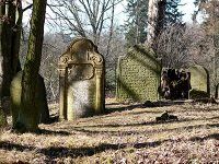 jewish cemetery in NY gravestones photo