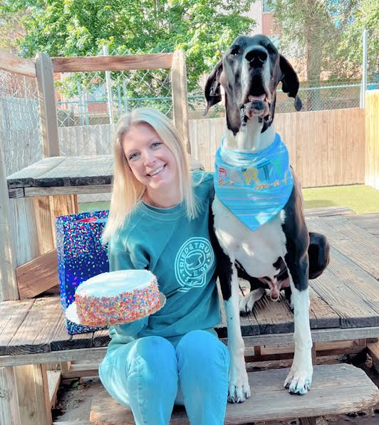 A woman is sitting next to a dog holding a cake.