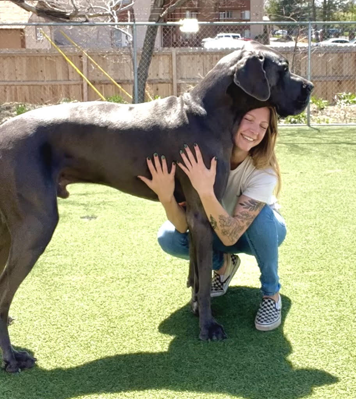 A woman is kneeling down and hugging a large black dog