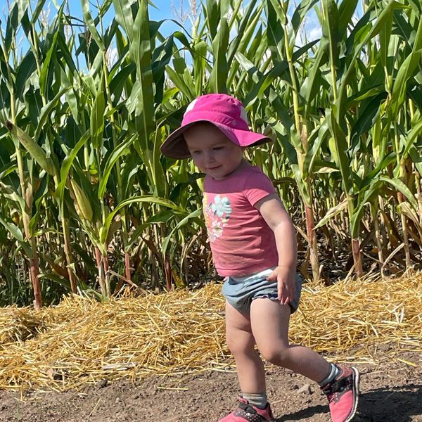 Corn Maze Canada