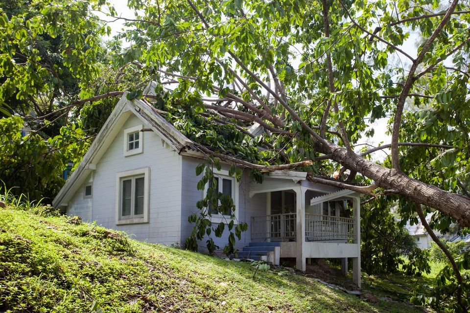 Protect your home and receive coverage for storm damage by preparing an insurance claim in the right manner. - Restoration 1 of Morris County