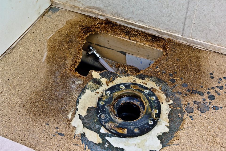 Raw sewage anywhere in your home poses a serious health hazard. - Restoration 1 of Morris County