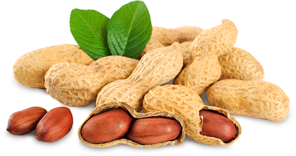 Peanuts - Redskin Peanuts in Zuni, VA