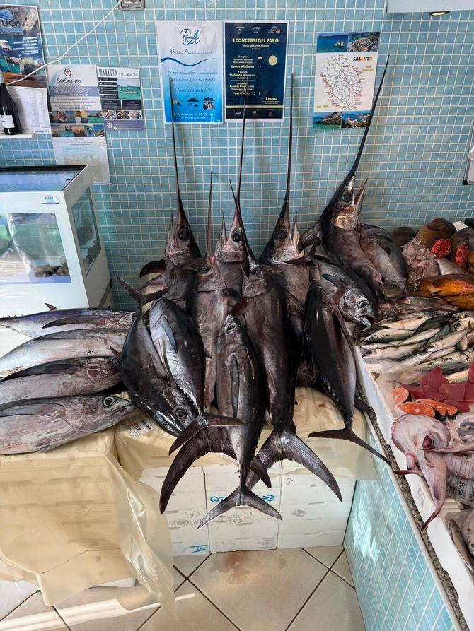 Antica pescheria da Antonio - L'arte del Mare dal 1920 — foto 7