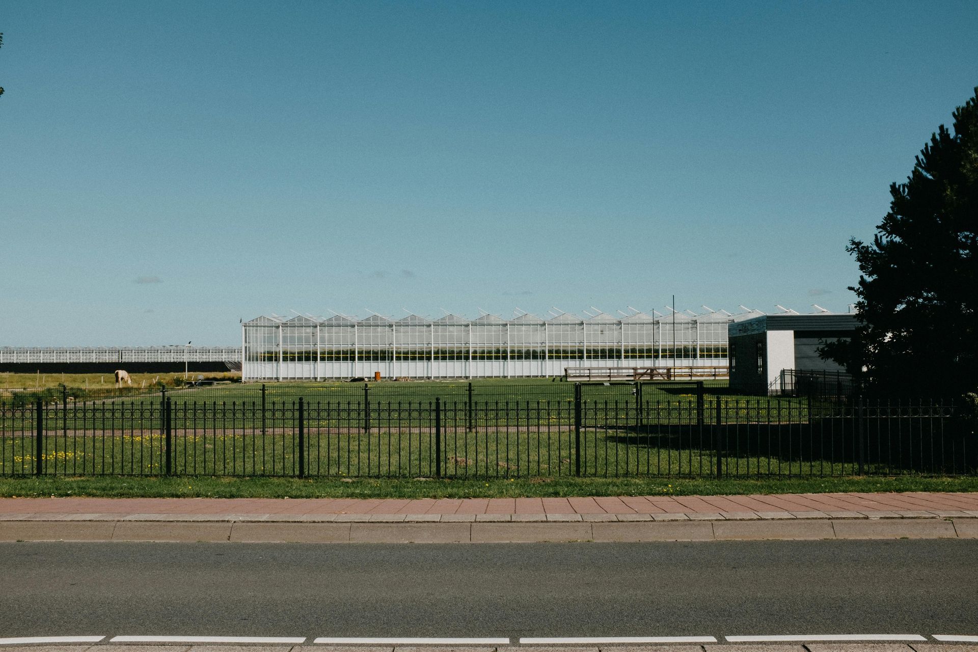 Empty fenced field beside a road under a clear blue sky, with a black metal fence and a white structure in the distance