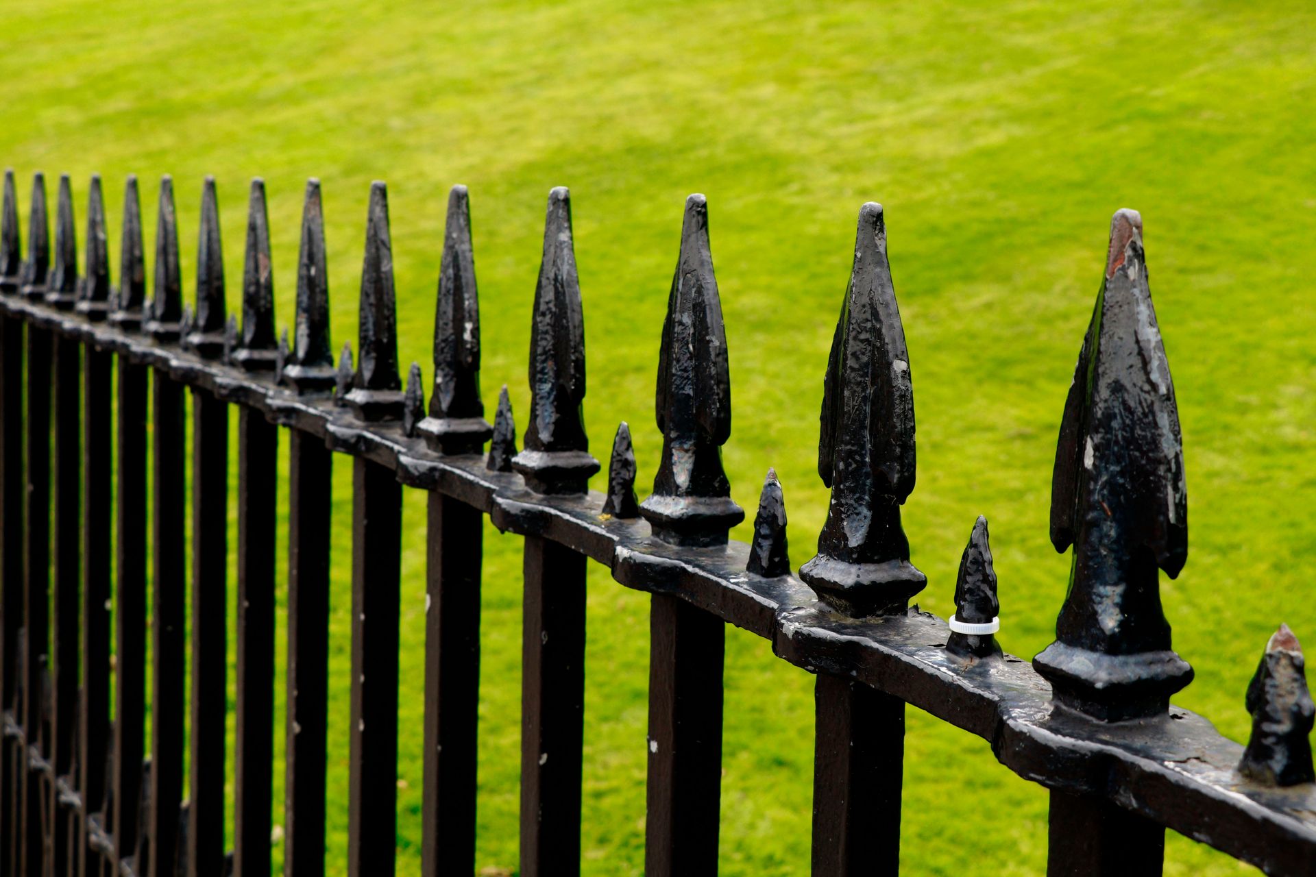 A black wrought iron fence surrounds a lush green field.