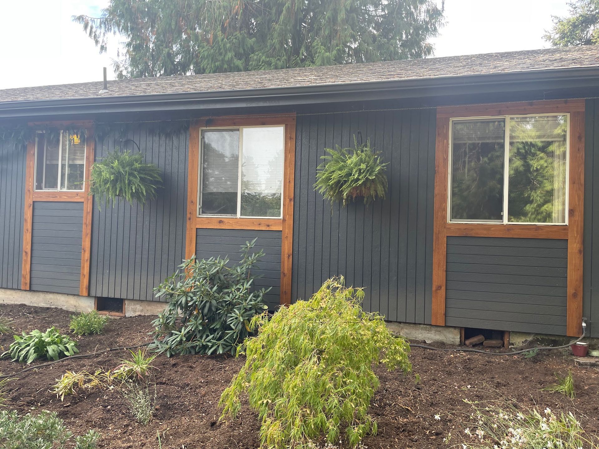Gray house with brown window frames and hanging plants, surrounded by a garden with brown mulch and various green plants.