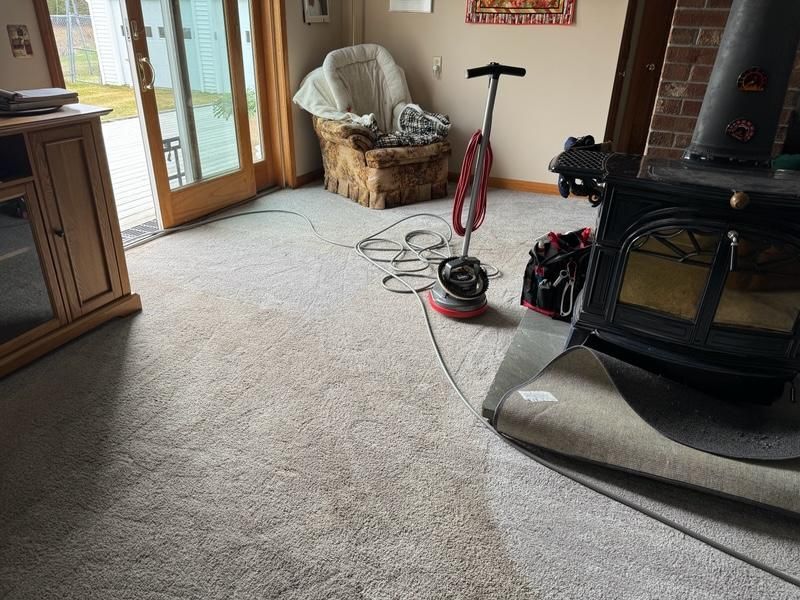 pet stain and odor removal carpet cleaning services from Flanders Cleaning Services