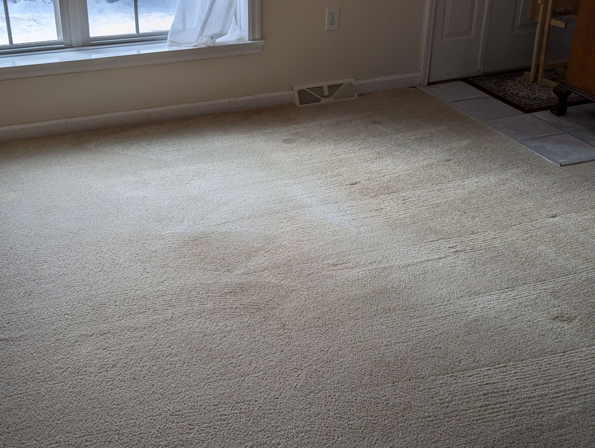 Clean carpets