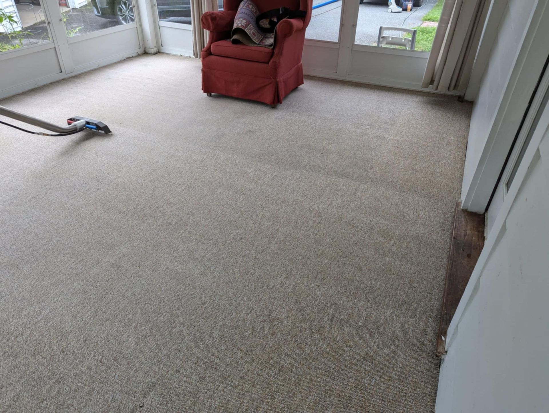 area rug cleaning for homes