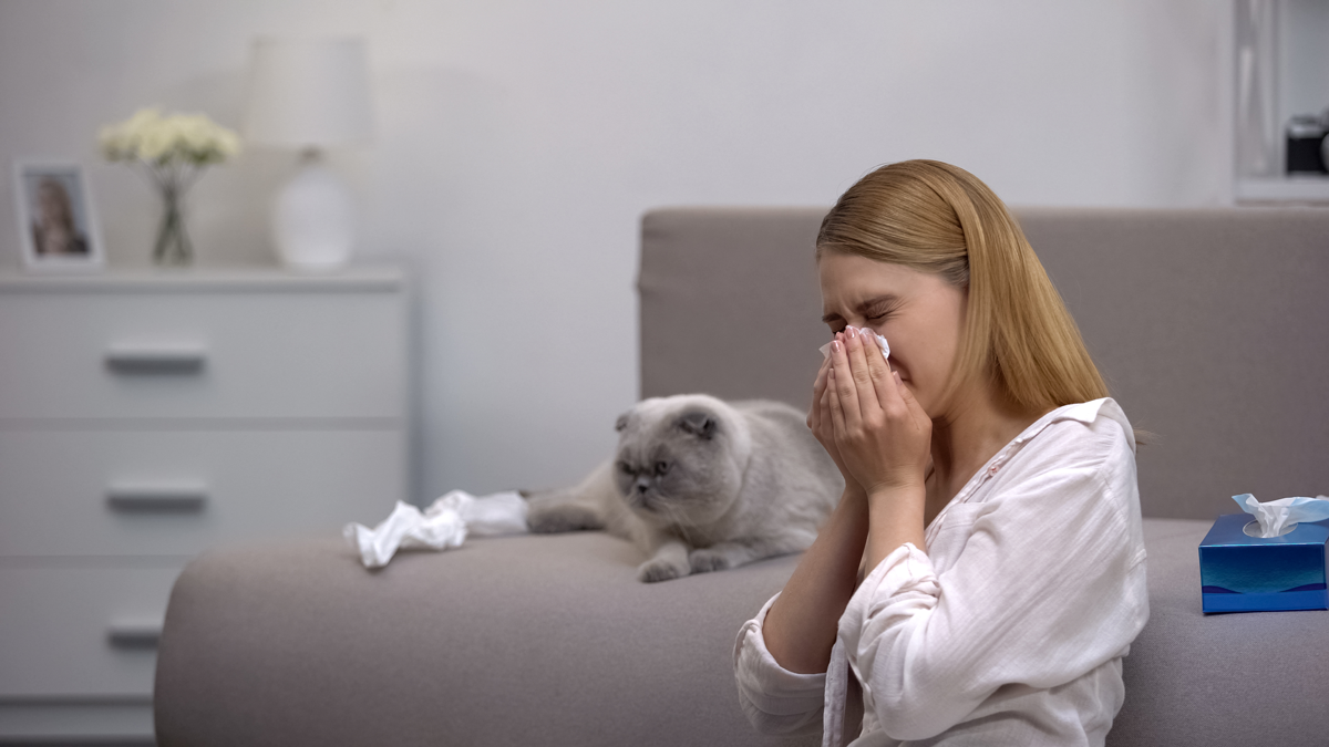 a woman is blowing her nose while sitting on a couch next to a cat The woman is having allergic symptoms due to pet dander