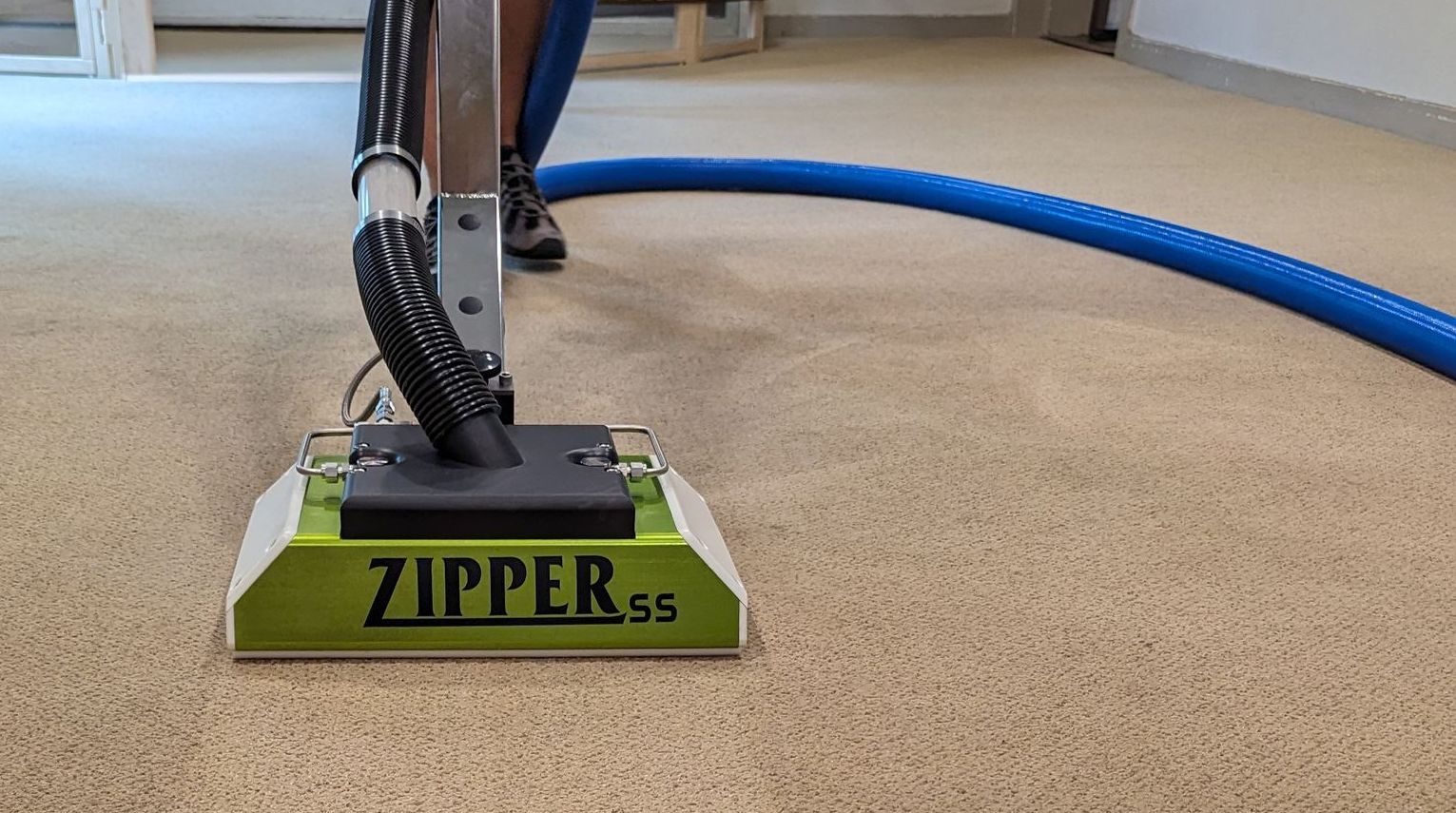 carpet cleaning for pet dander