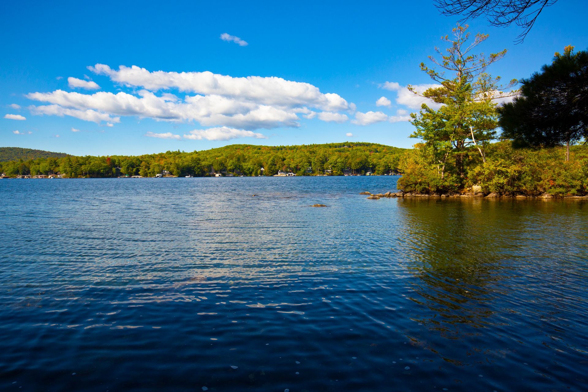 Calm blue lake under a bright sky, with green shoreline trees and a small tree on the right
