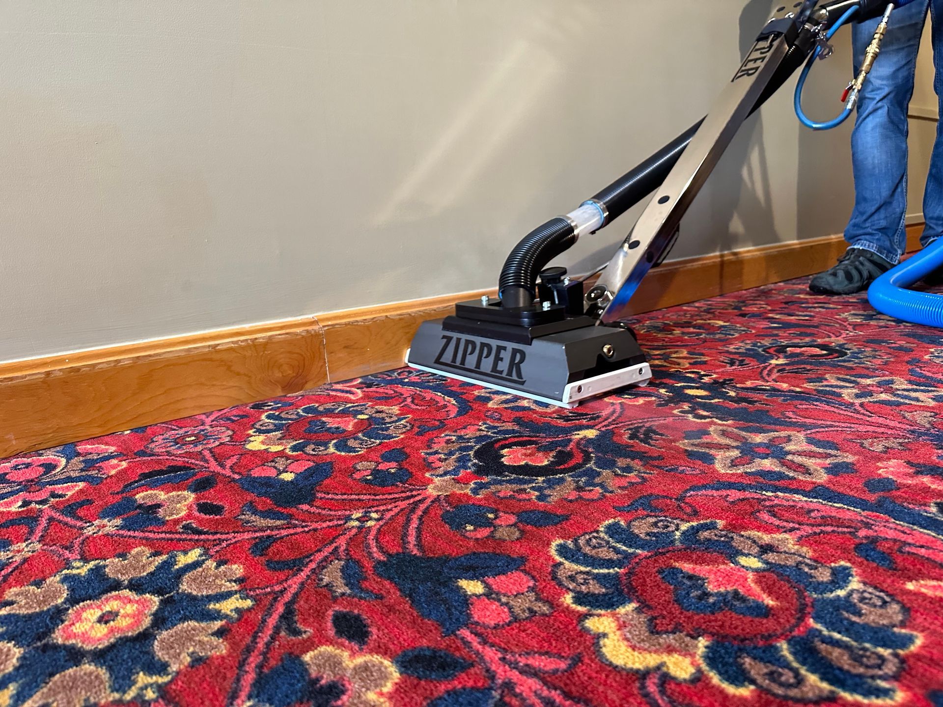 Carpet Cleaning for Allergies: Reducing Symptoms with Clean Floors