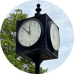 See Upcoming Events with the Bethel Garden Club