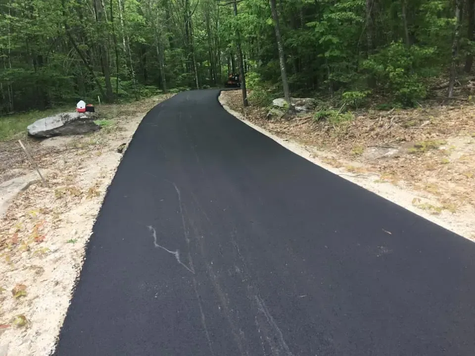 A black asphalt road in the middle of a forest.