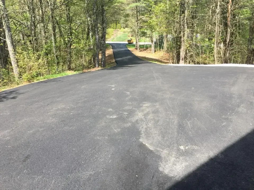 A black asphalt road going through a forest with trees on both sides.