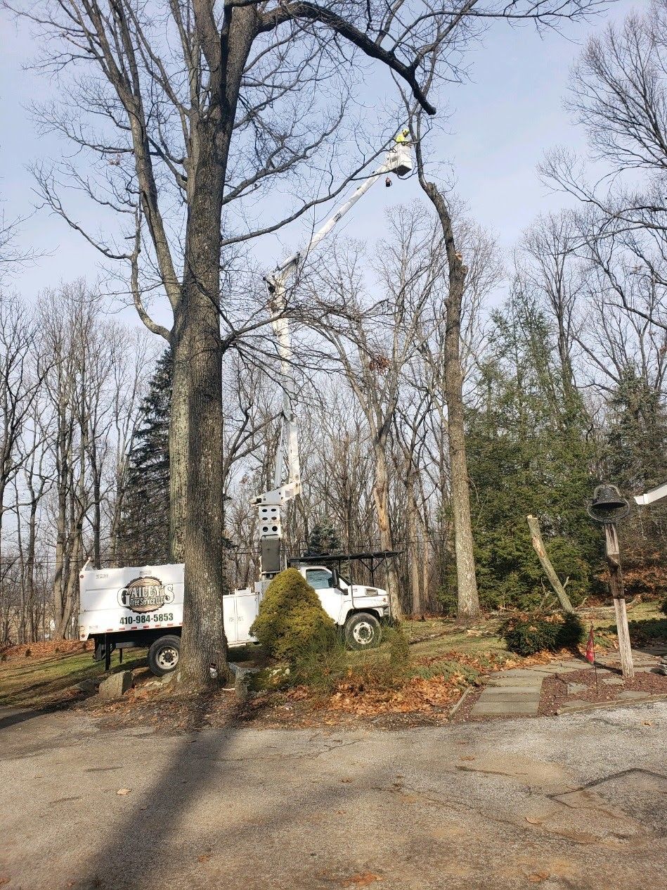 A white truck is cutting a tree in the woods.