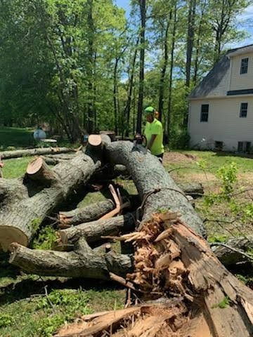 A man is standing next to a pile of logs in front of a house.