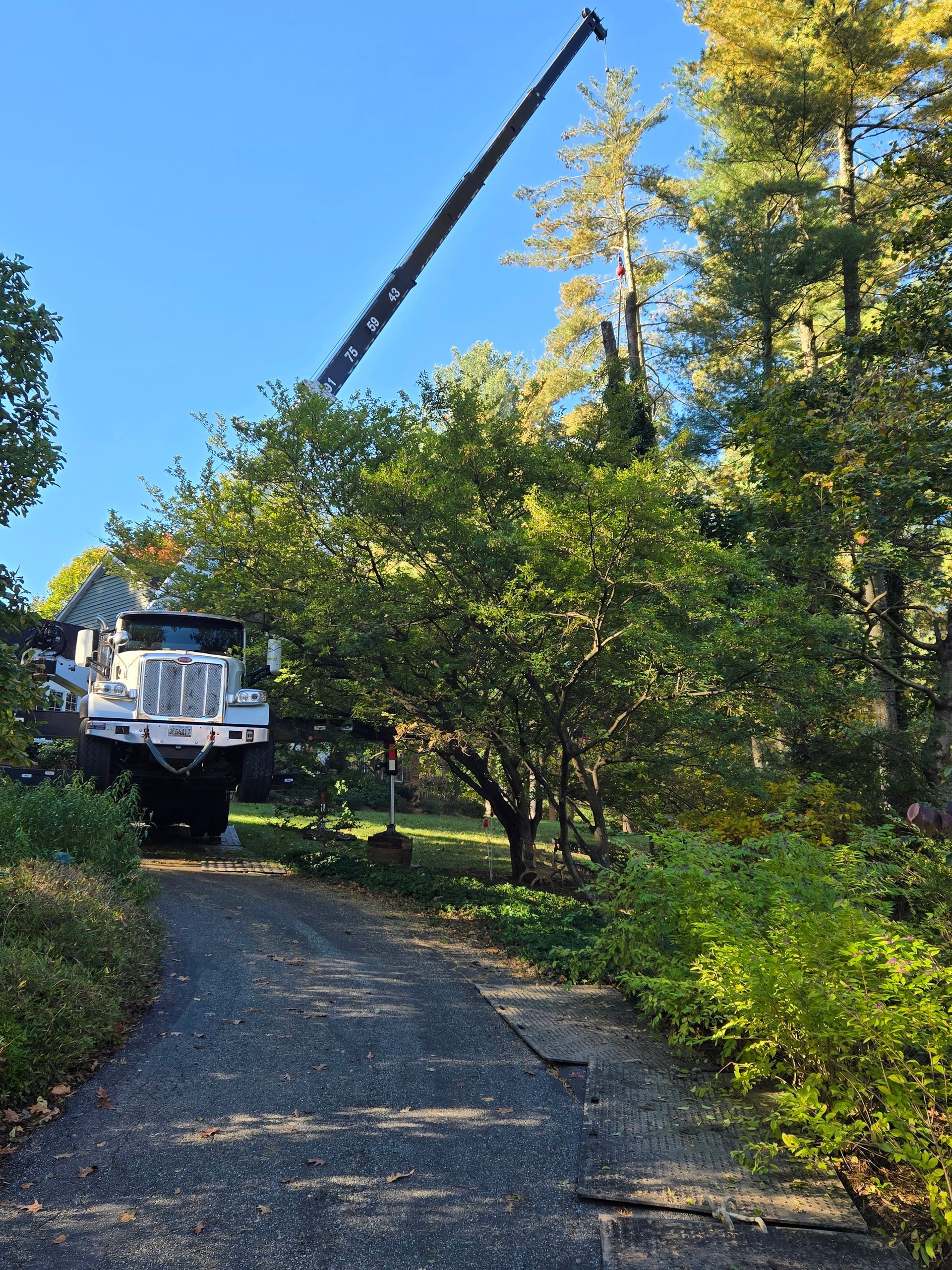 A white truck is parked in a driveway next to trees.