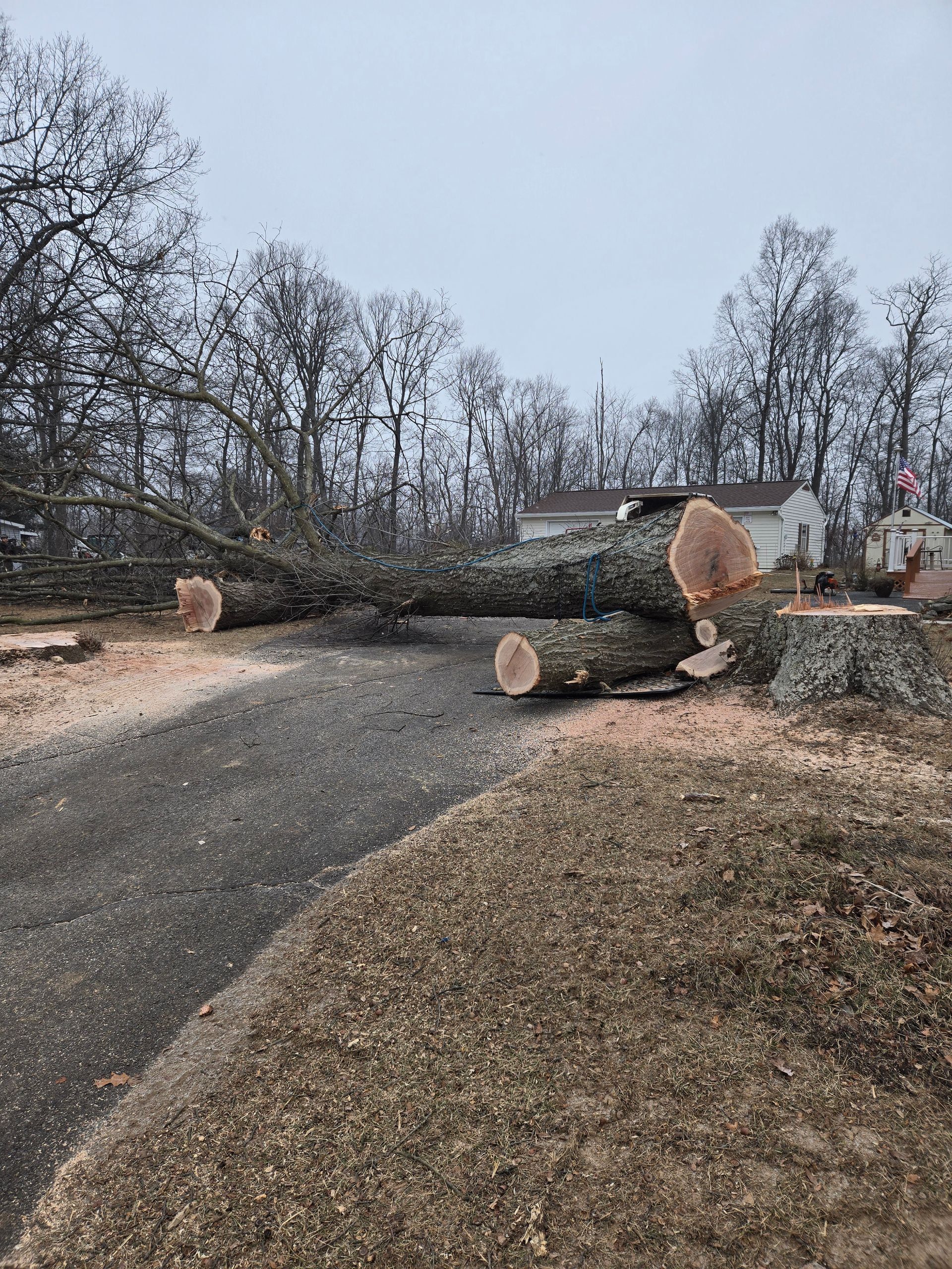 A large tree stump is laying on the side of a road.