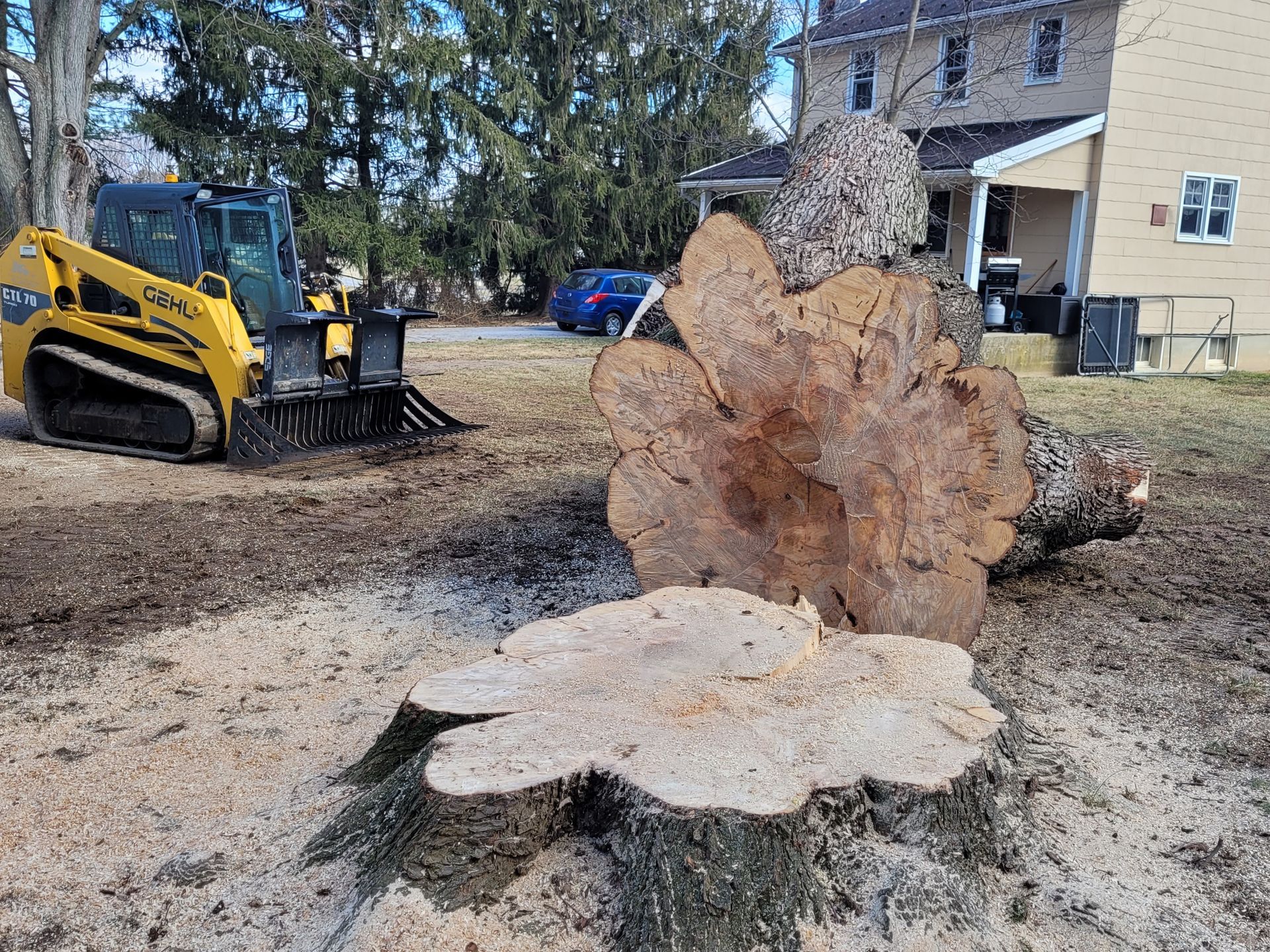 A large tree stump with a bulldozer in the background.