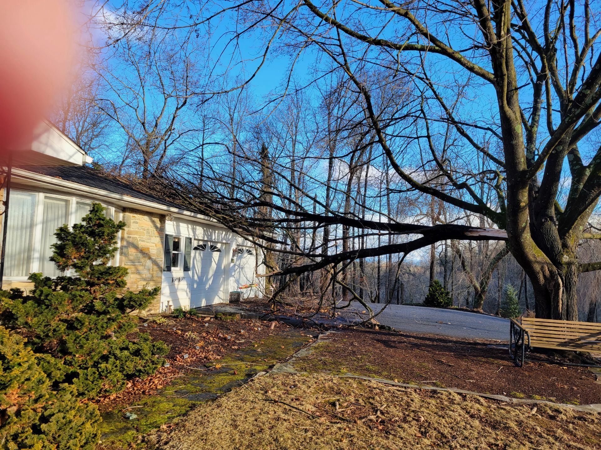 A house with a fallen tree in front of it.