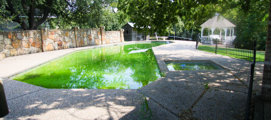 Green and Yellow Algae problem in pools