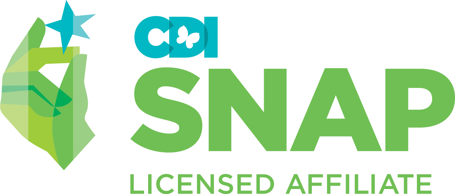 A logo for cdi snap , a licensed affiliate.