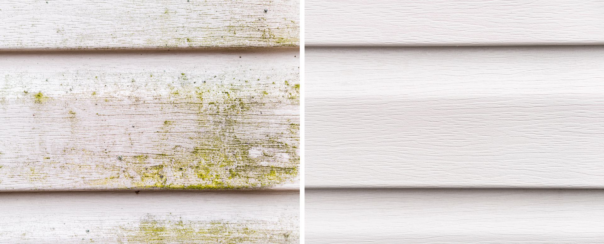 Before and after of white siding. Left shows dirty siding with green algae, right is clean.