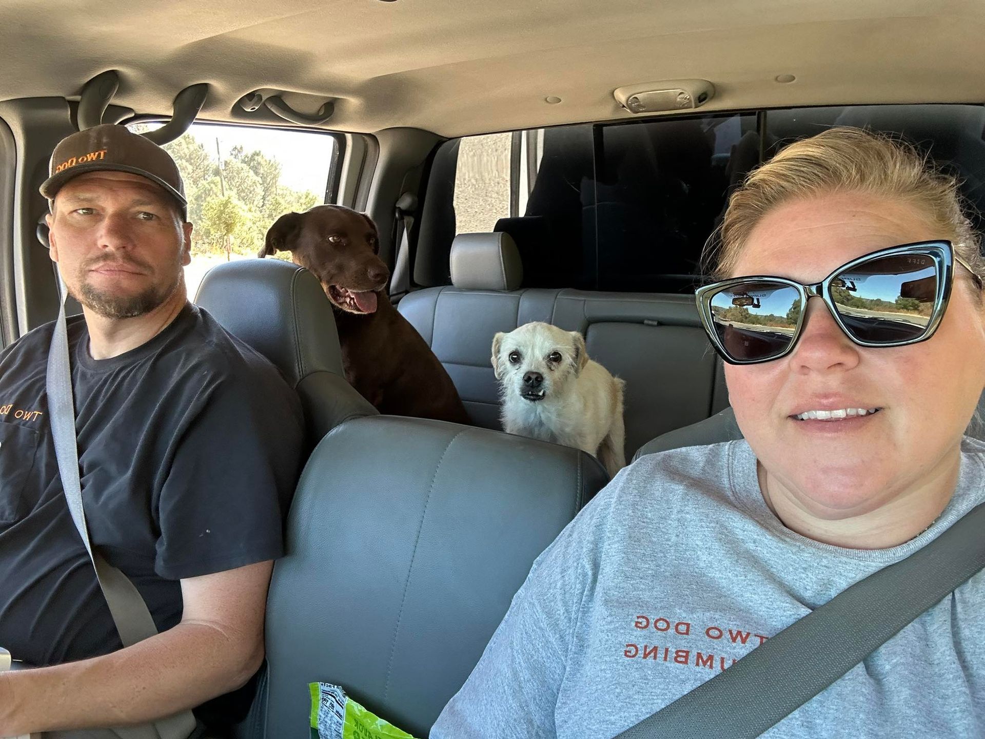 A couple in a truck with two dogs, driving down the road.
