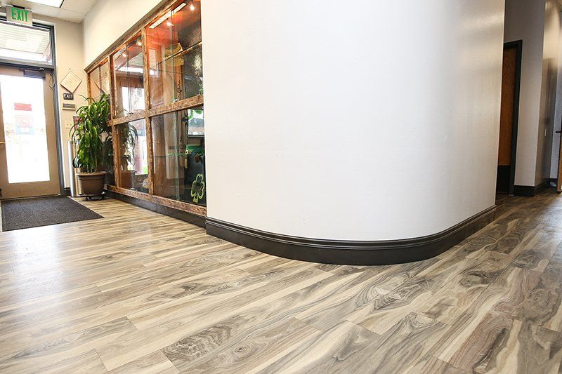 Entryway with Commercial Vinyl Plank Flooring, Lemoore, CA