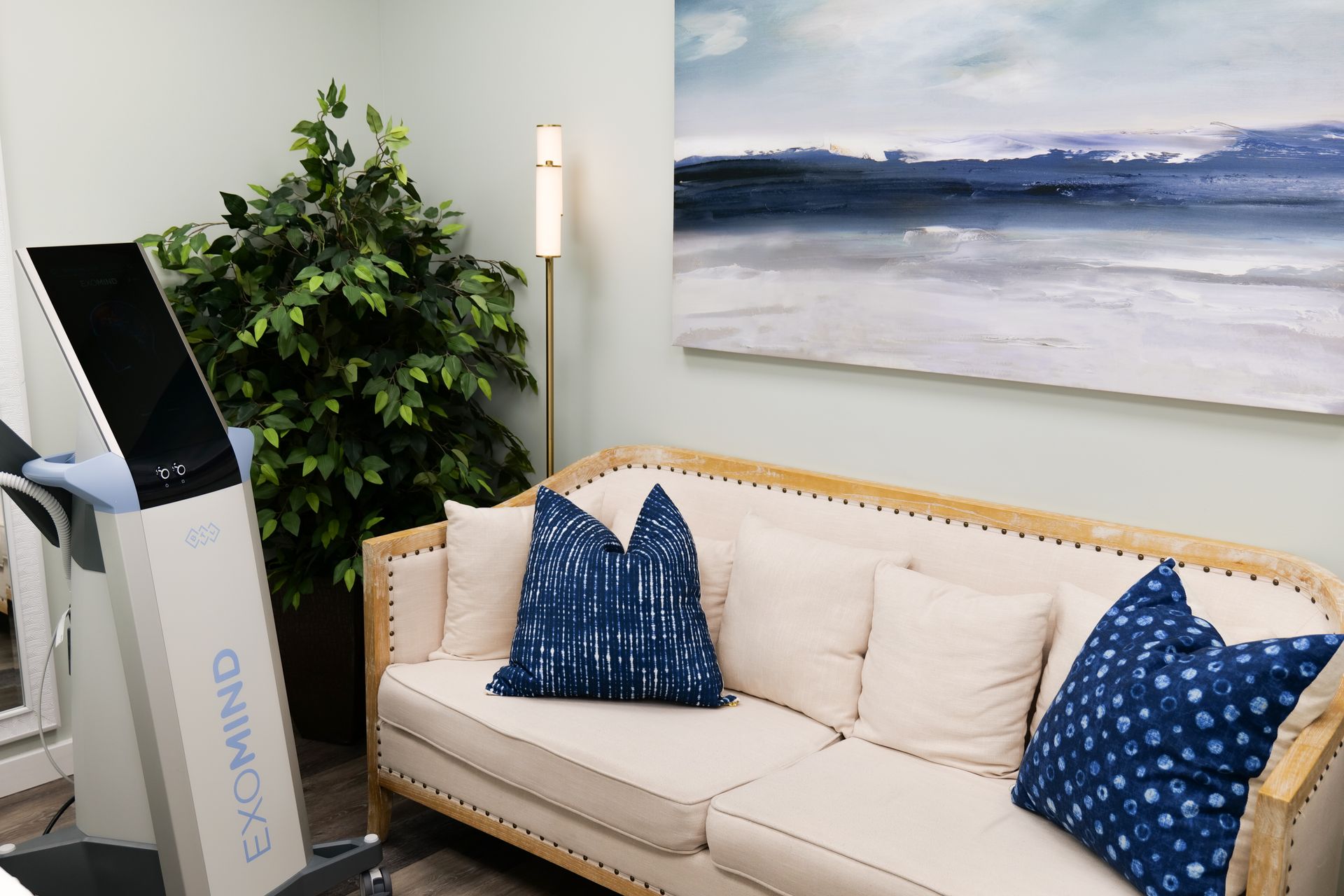 A waiting area with a cream-colored sofa with blue patterned pillows, a large indoor plant, and a medical machine.
