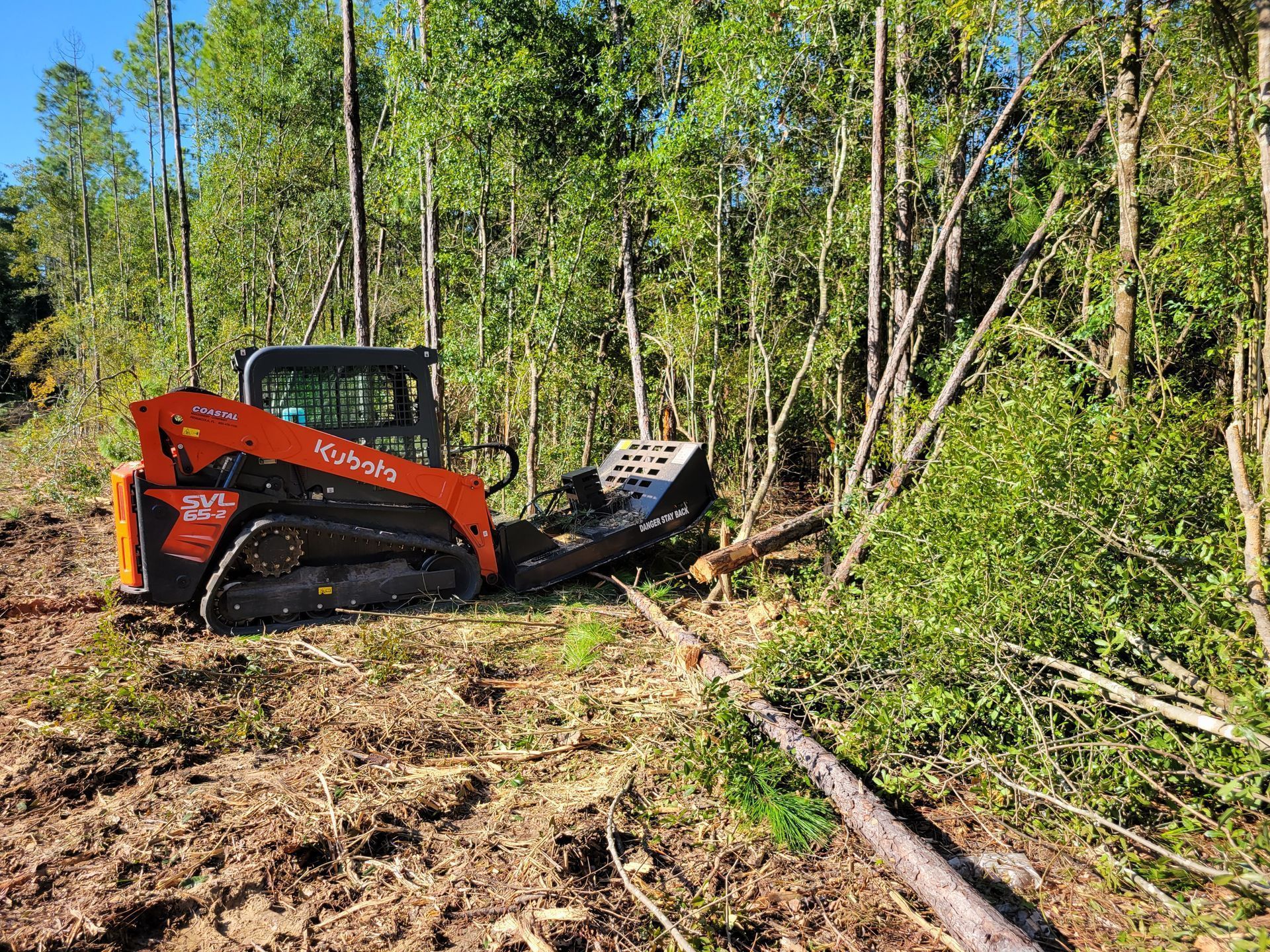 A bulldozer is cutting down trees in a forest.