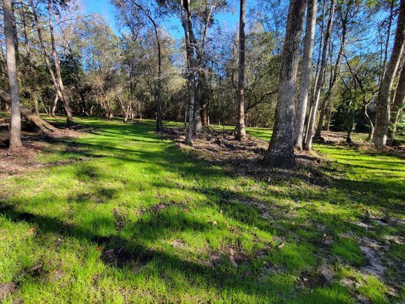 A lush green field surrounded by trees on a sunny day.