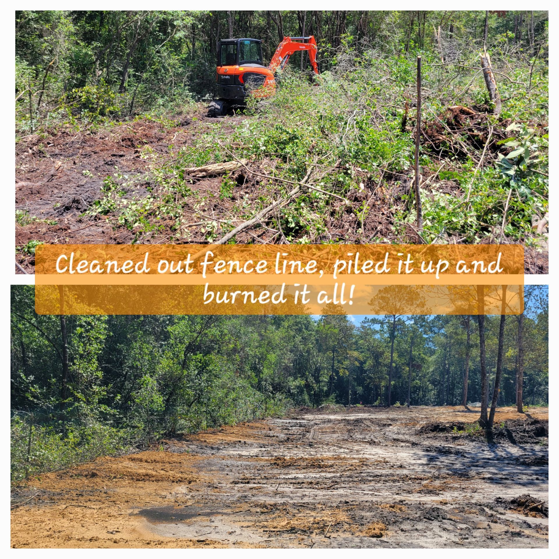 A tractor is clearing a fence line in the woods.