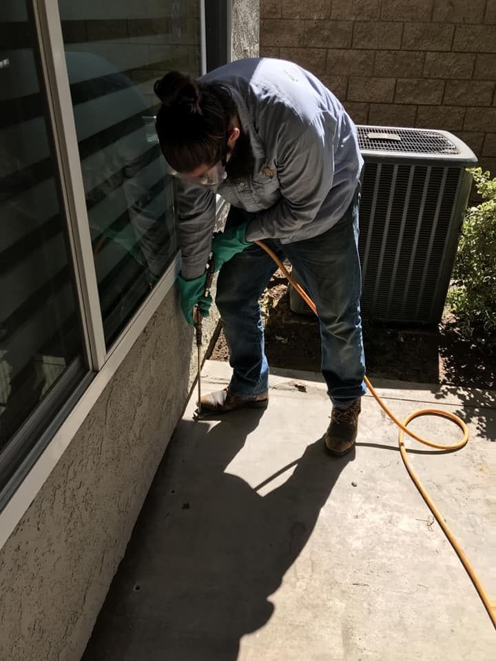 Person sprays pesticide along the base of a building near a window and air conditioner.