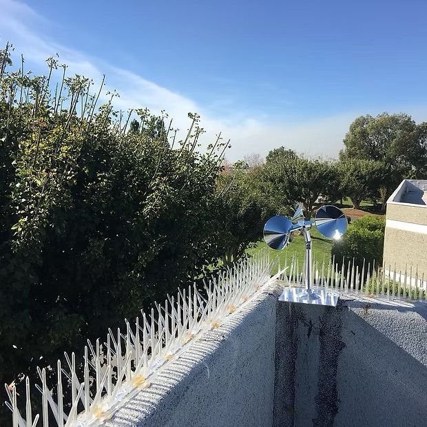 A wind-powered garden ornament atop a roof with bird spikes. Sunny sky and trees in the background.