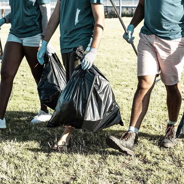 People picking up trash with black bags on grass.