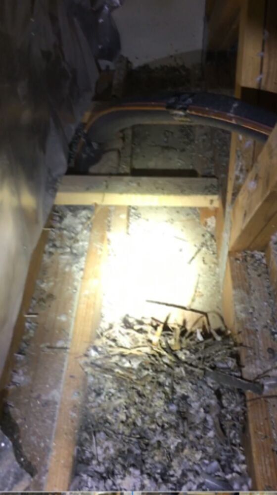 Attic insulation and beams with debris. Light shines on the insulation in a cramped space.